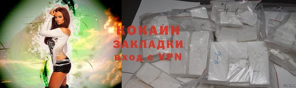 ешки Аркадак