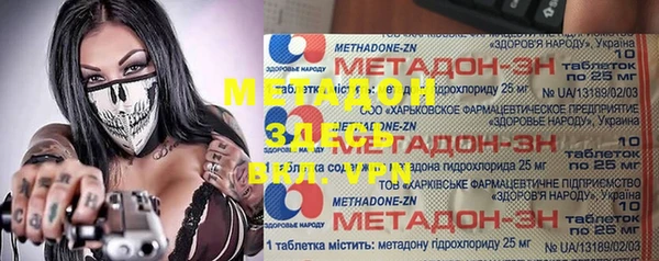 индика Арсеньев