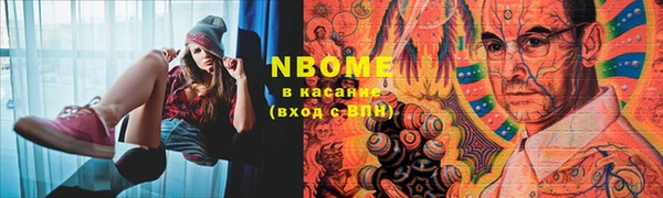 индика Арсеньев