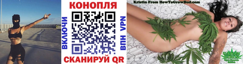 Бошки марихуана ГИДРОПОН  Камбарка 
